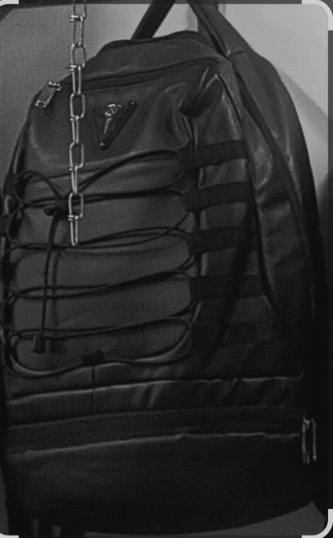 Biaowang Executive Backpack