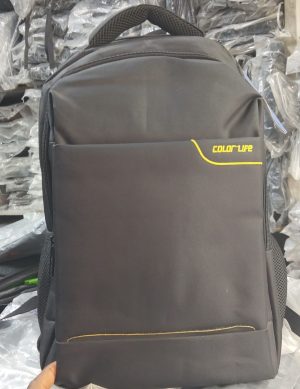 Color life Executive Backpack